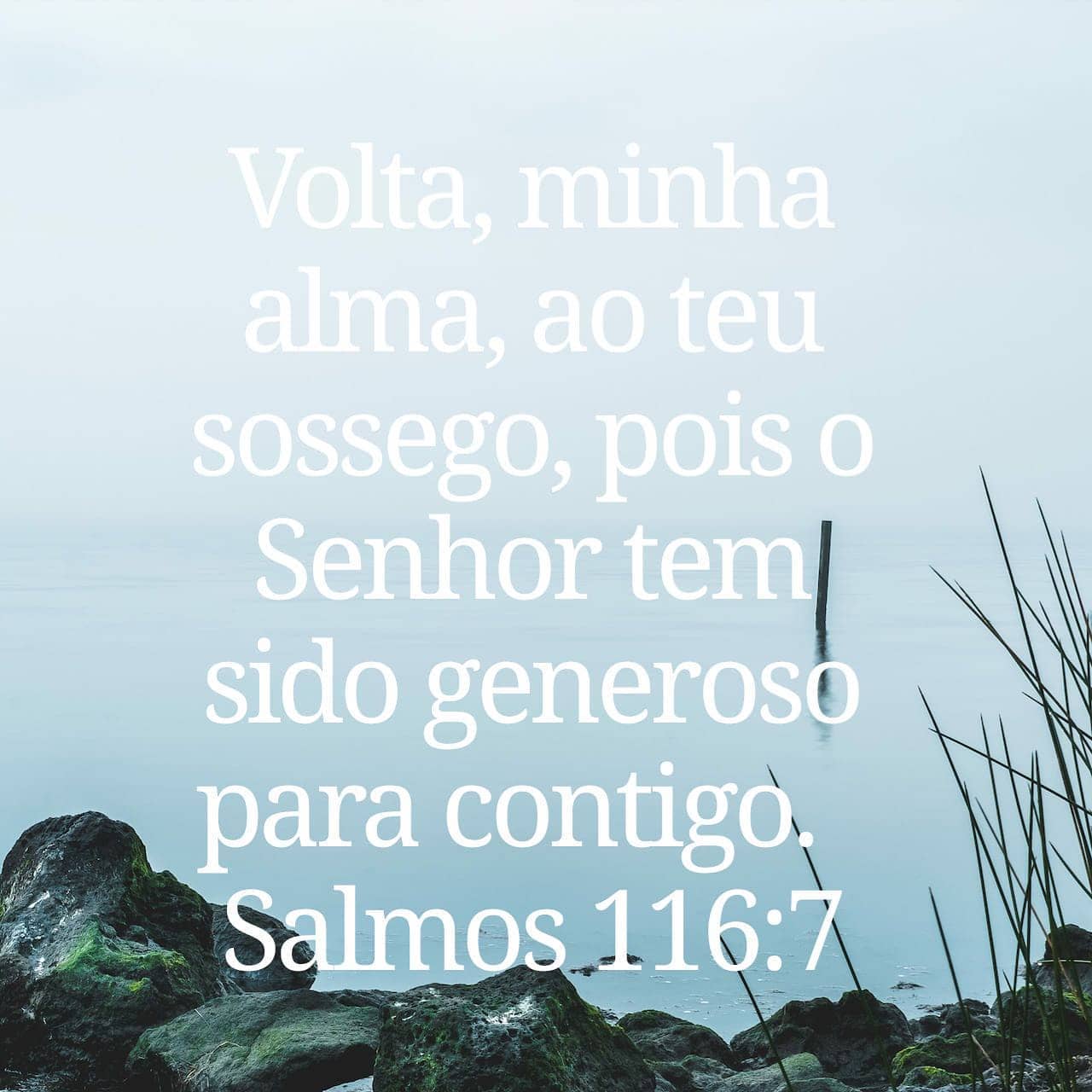 Palavra para 25 de maio de 2020