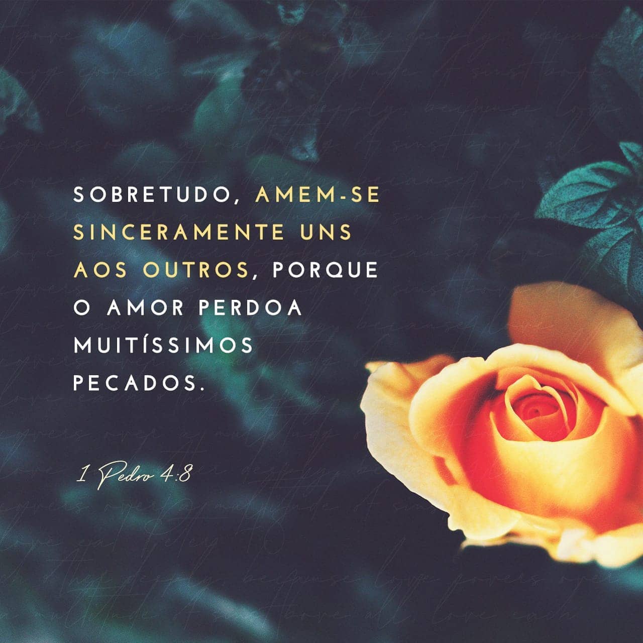Palavra para 10 de junho de 2020