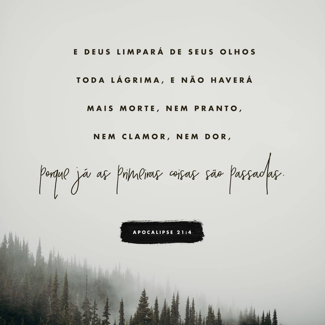 Palavra para 20 de junho de 2020