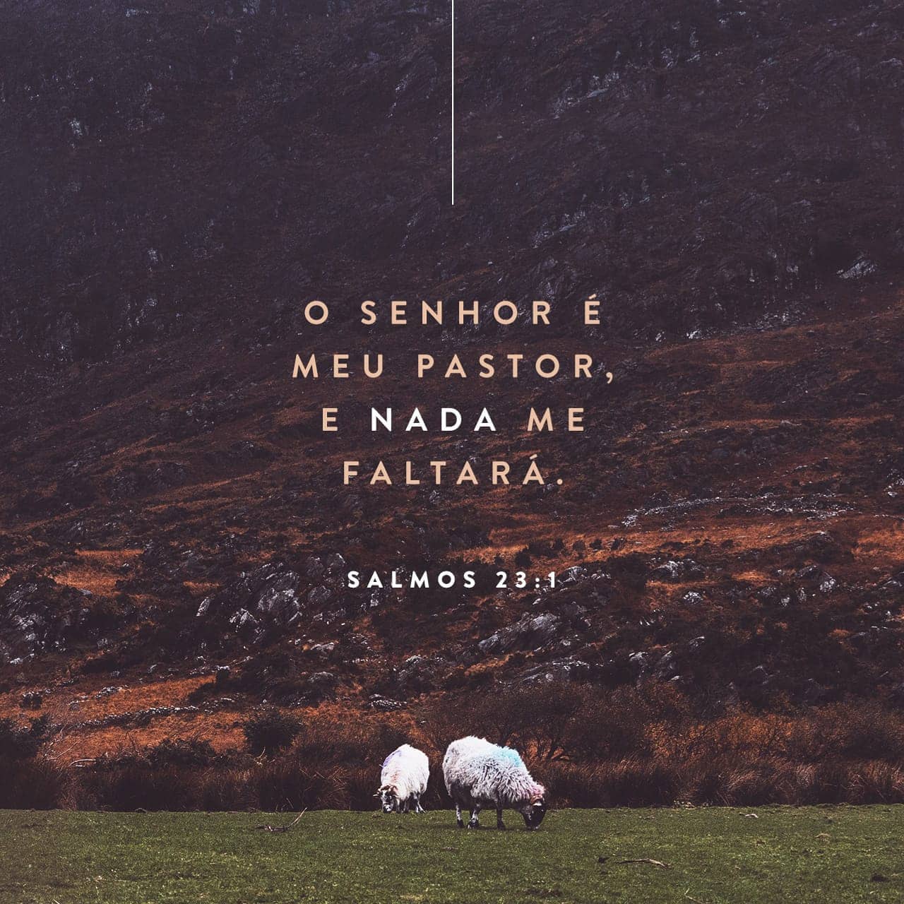 Palavra para 12 de junho de 2020
