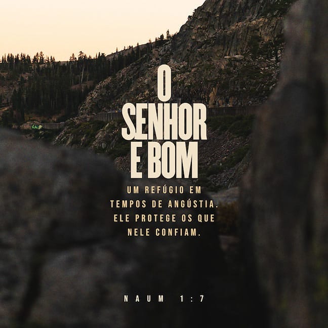 Palavra para 24 de julho de 2020