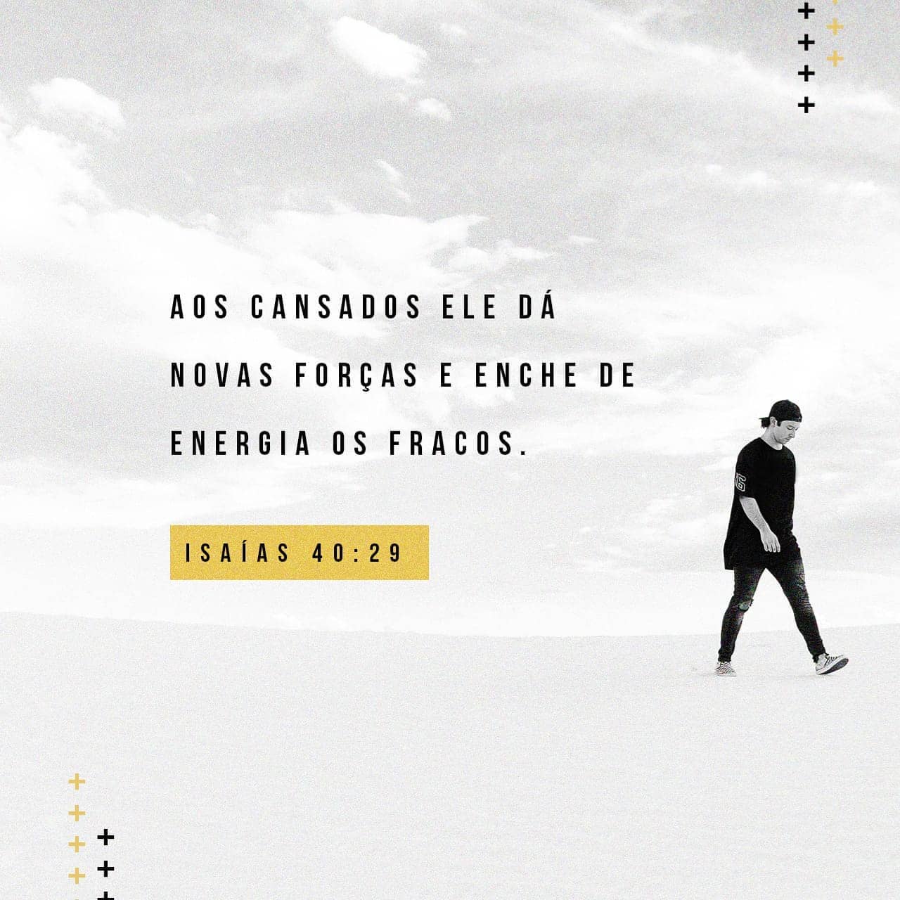 Palavra para 26 de julho de 2020