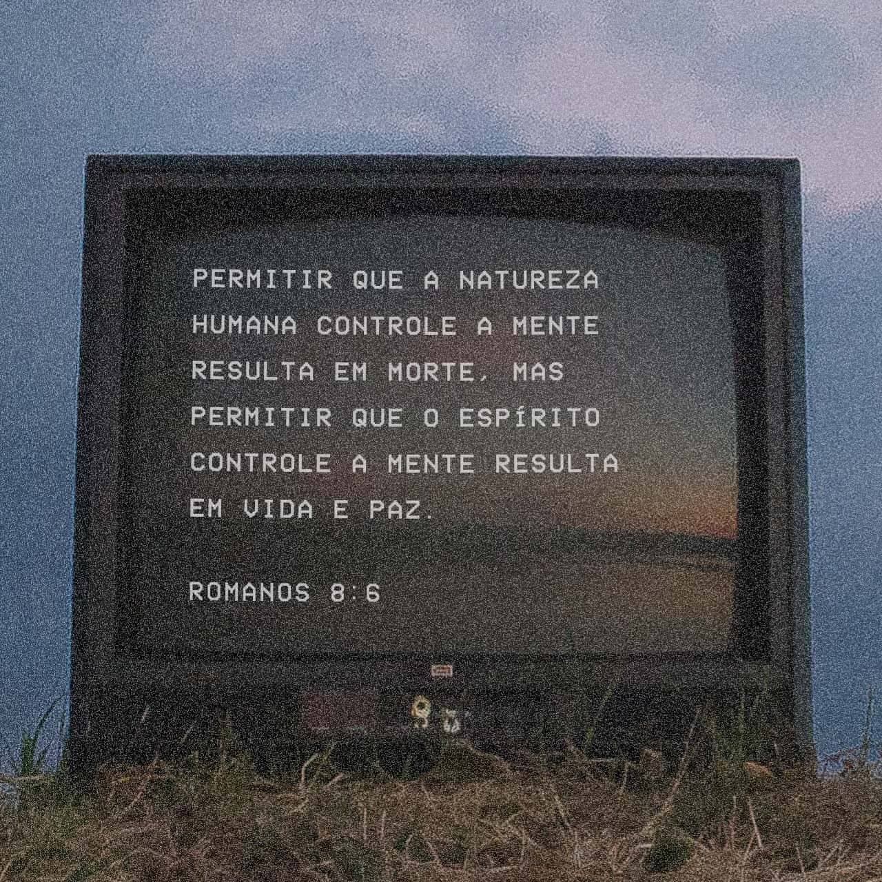 Palavra para 19 de julho de 2020