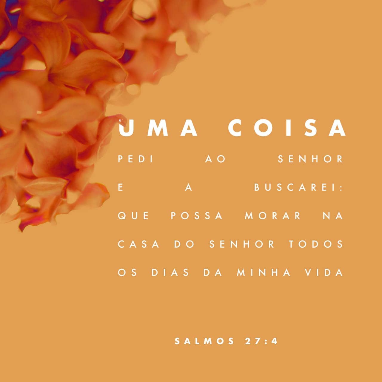 Palavra para 12 de julho de 2020