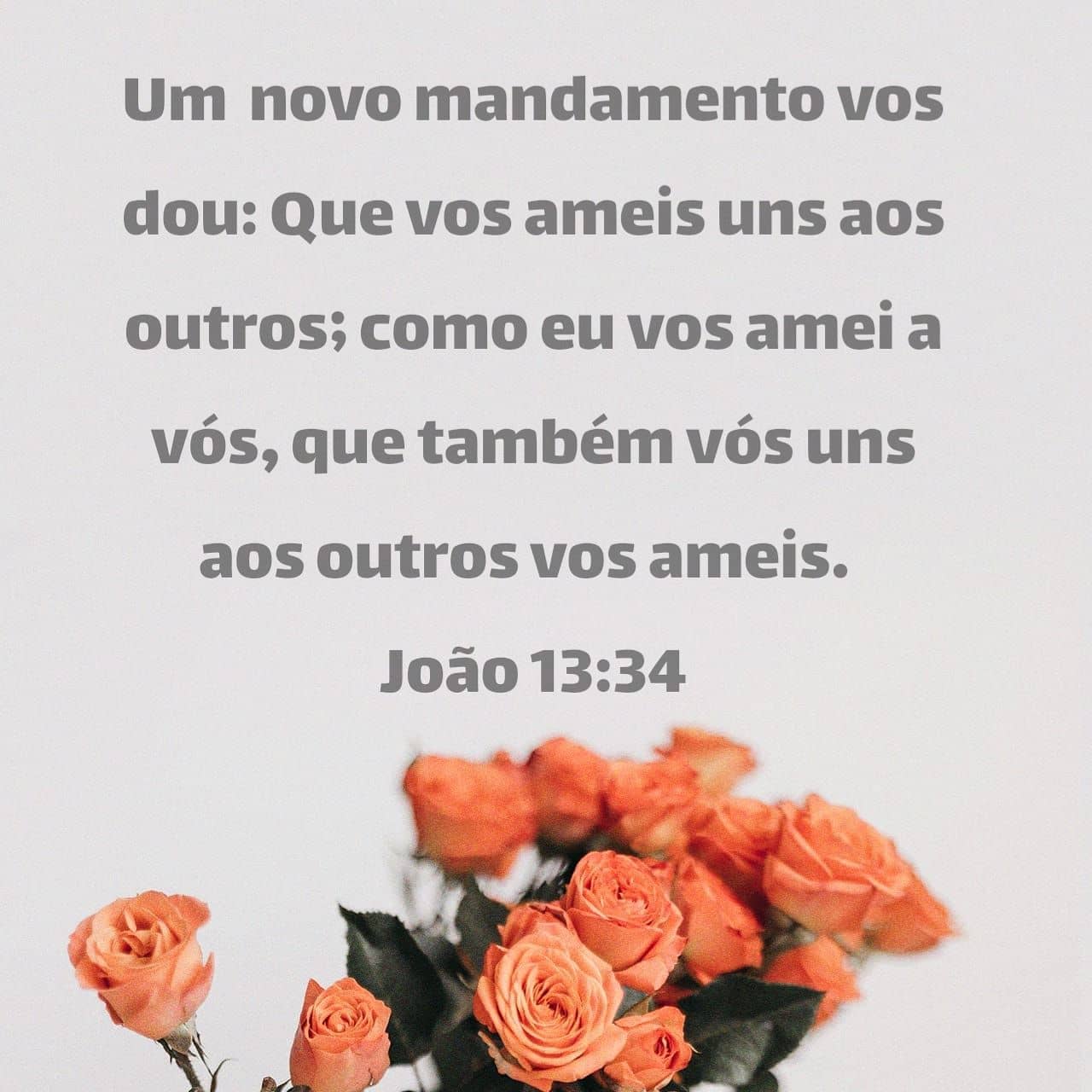 Palavra para 8 de julho de 2020