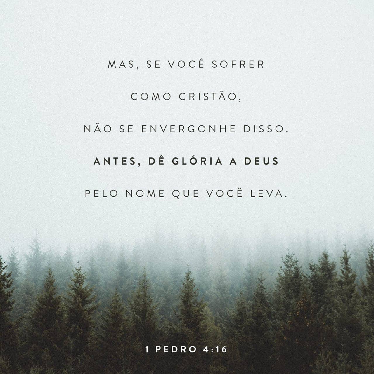 Palavra para 24 de julho de 2020