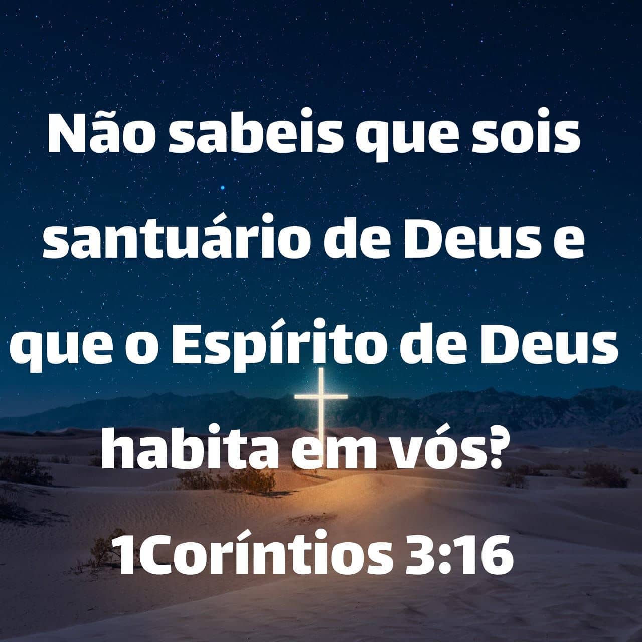 Palavra para 31 de julho de 2020