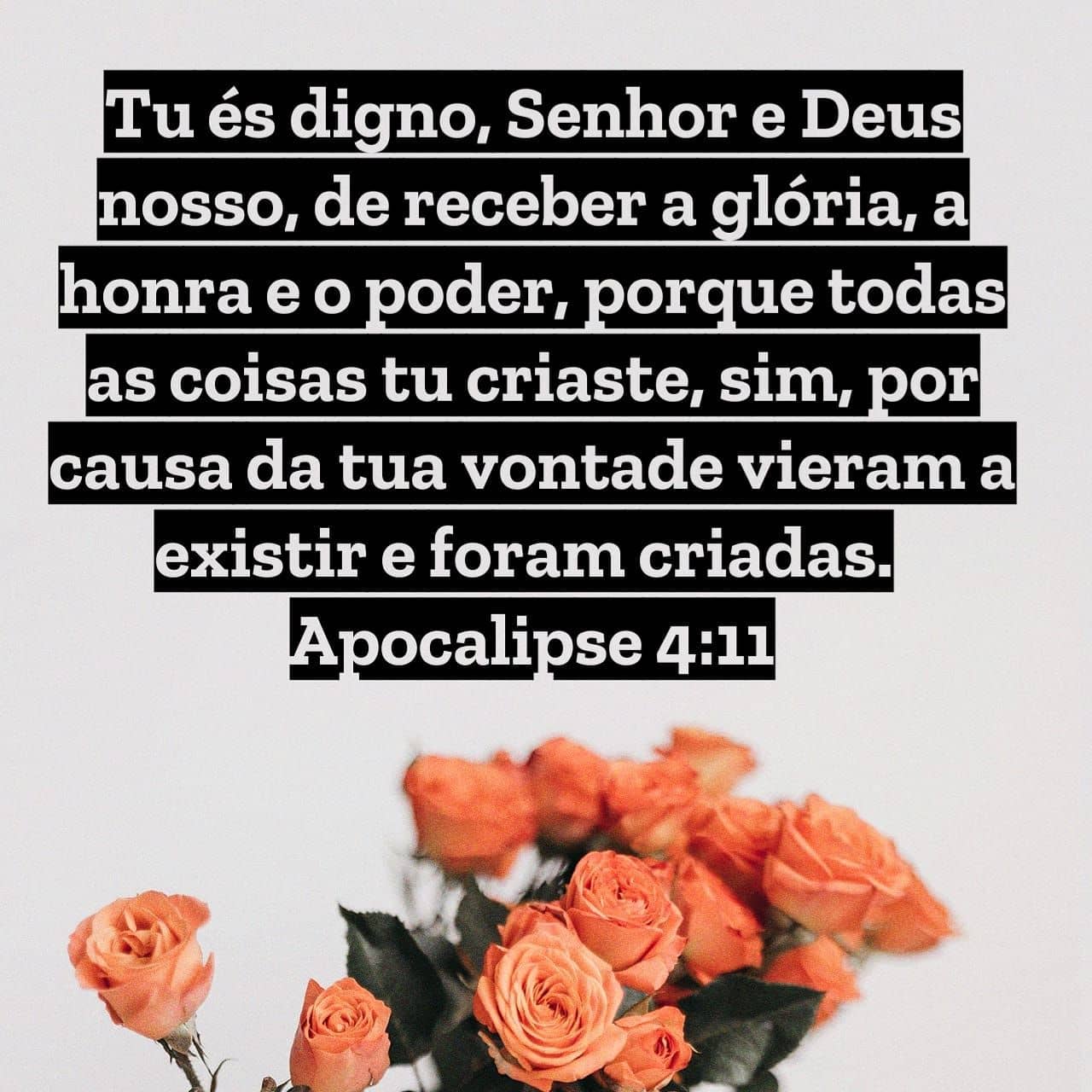 Palavra para 3 de agosto de 2020
