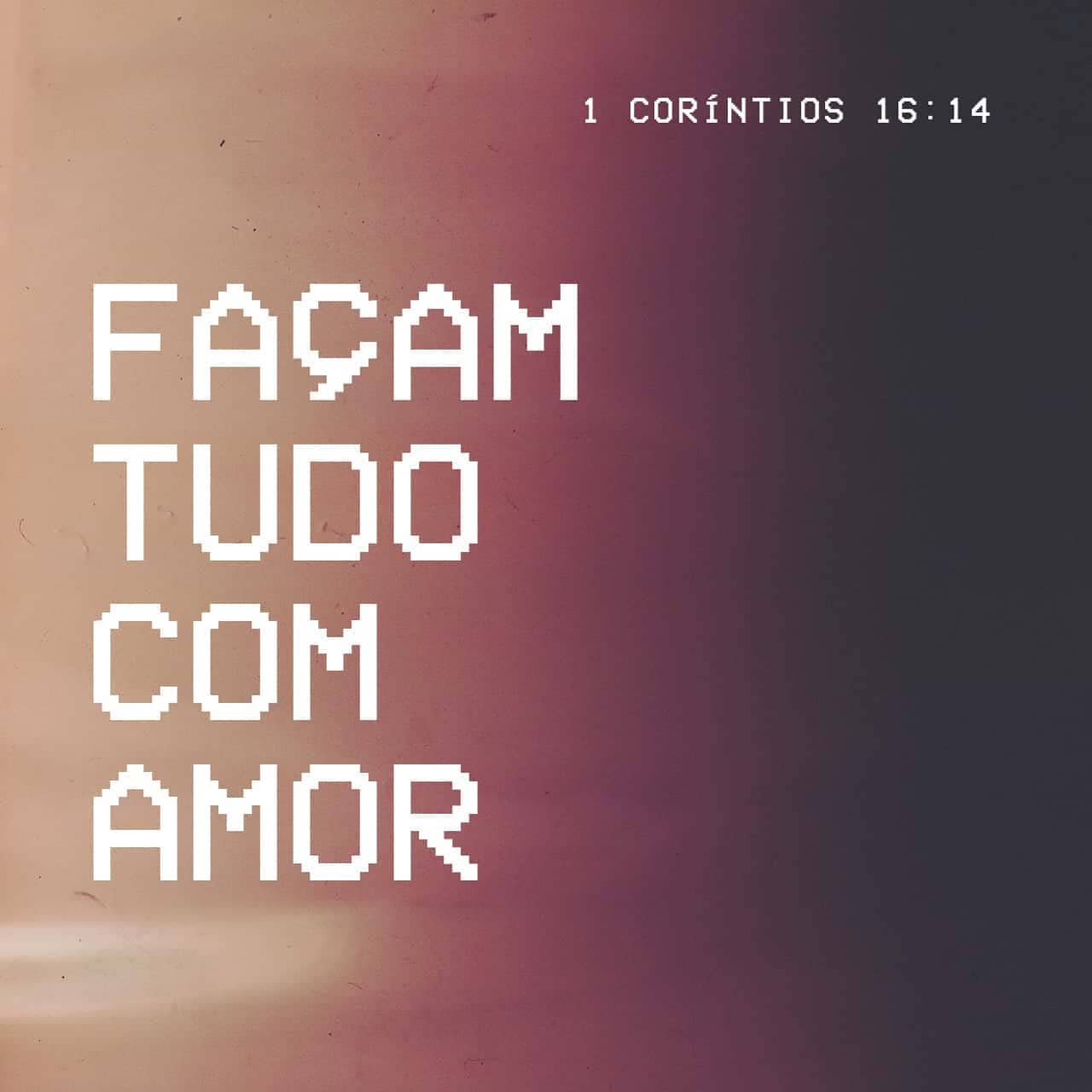 Palavra para 26 de agosto de 2020
