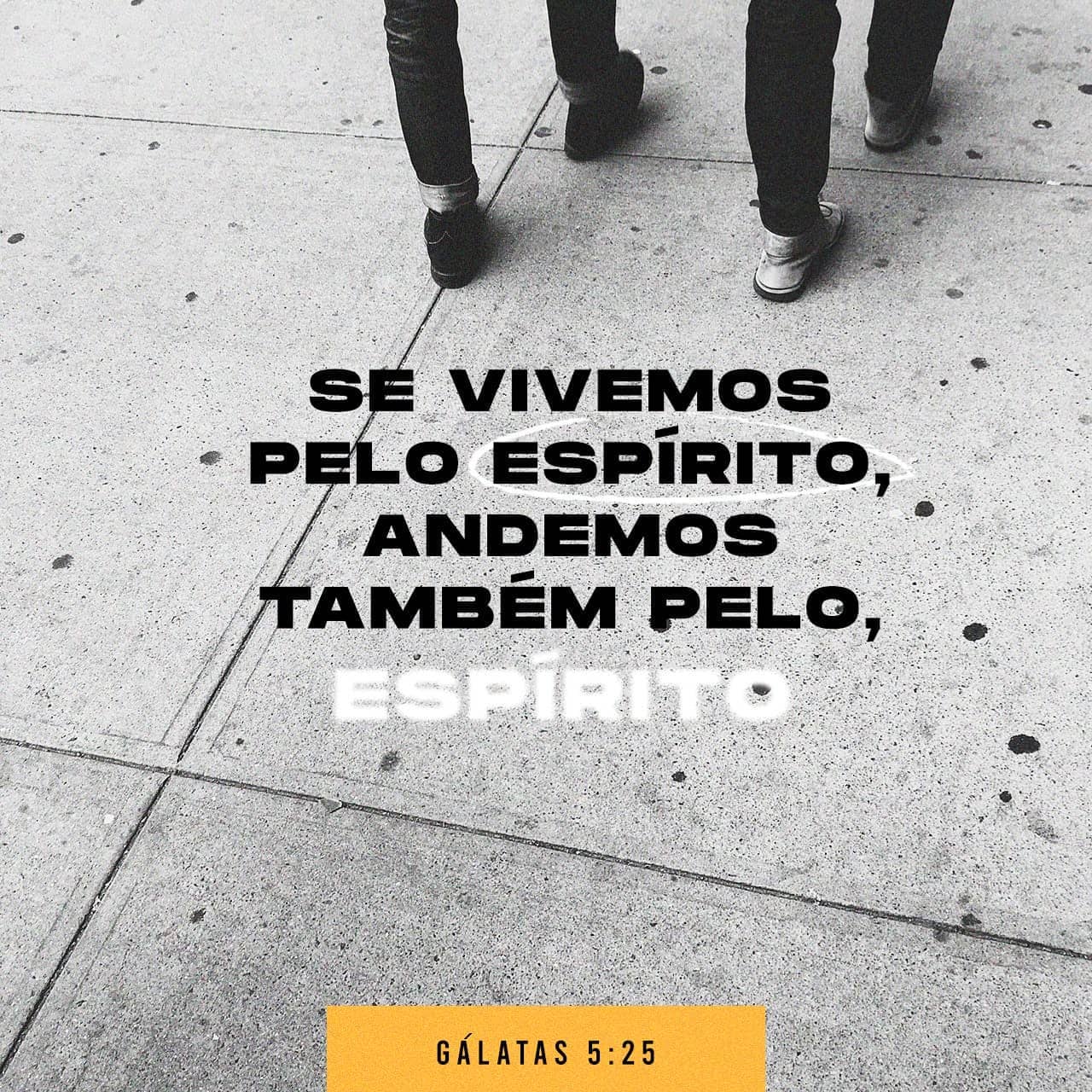 Palavra para 15 de agosto de 2020