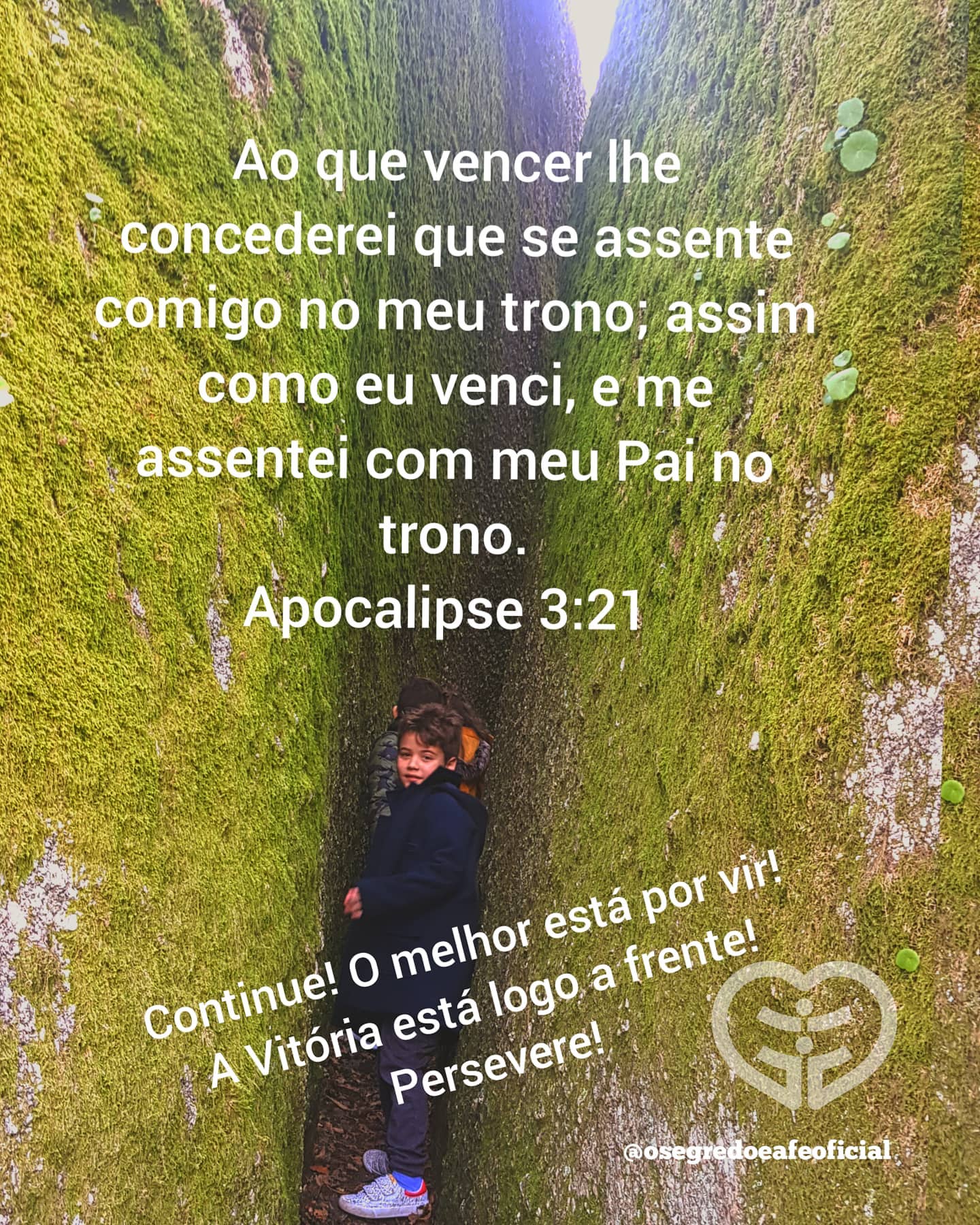 Palavra para 29 de agosto de 2020