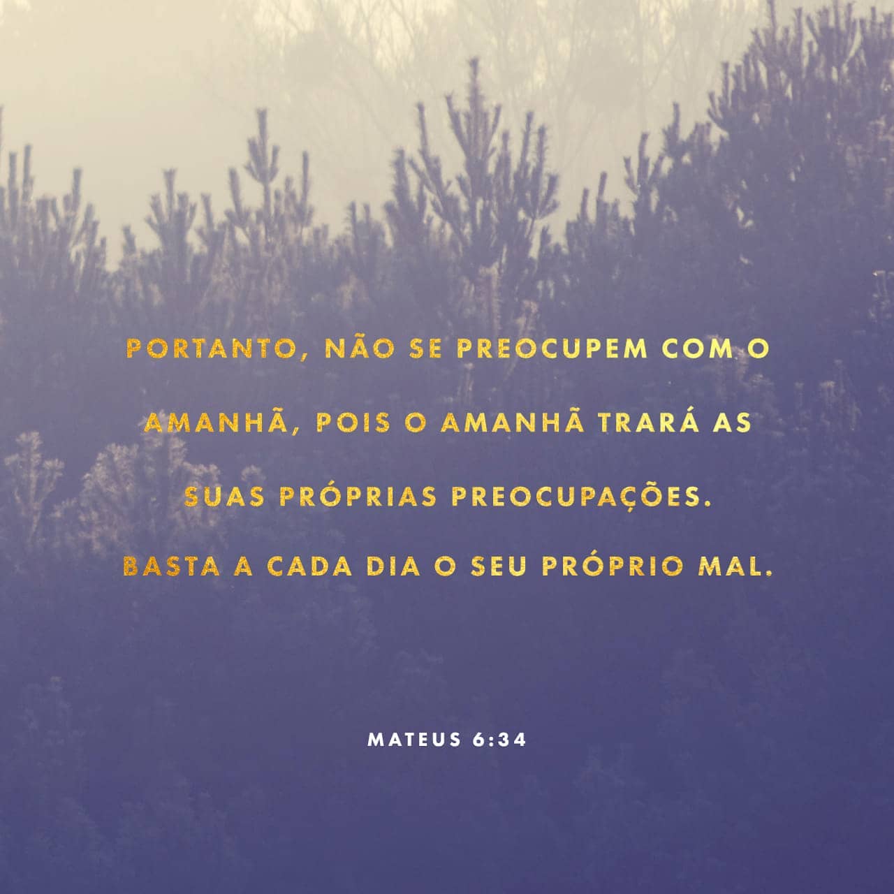 Palavra para 12 de agosto de 2020