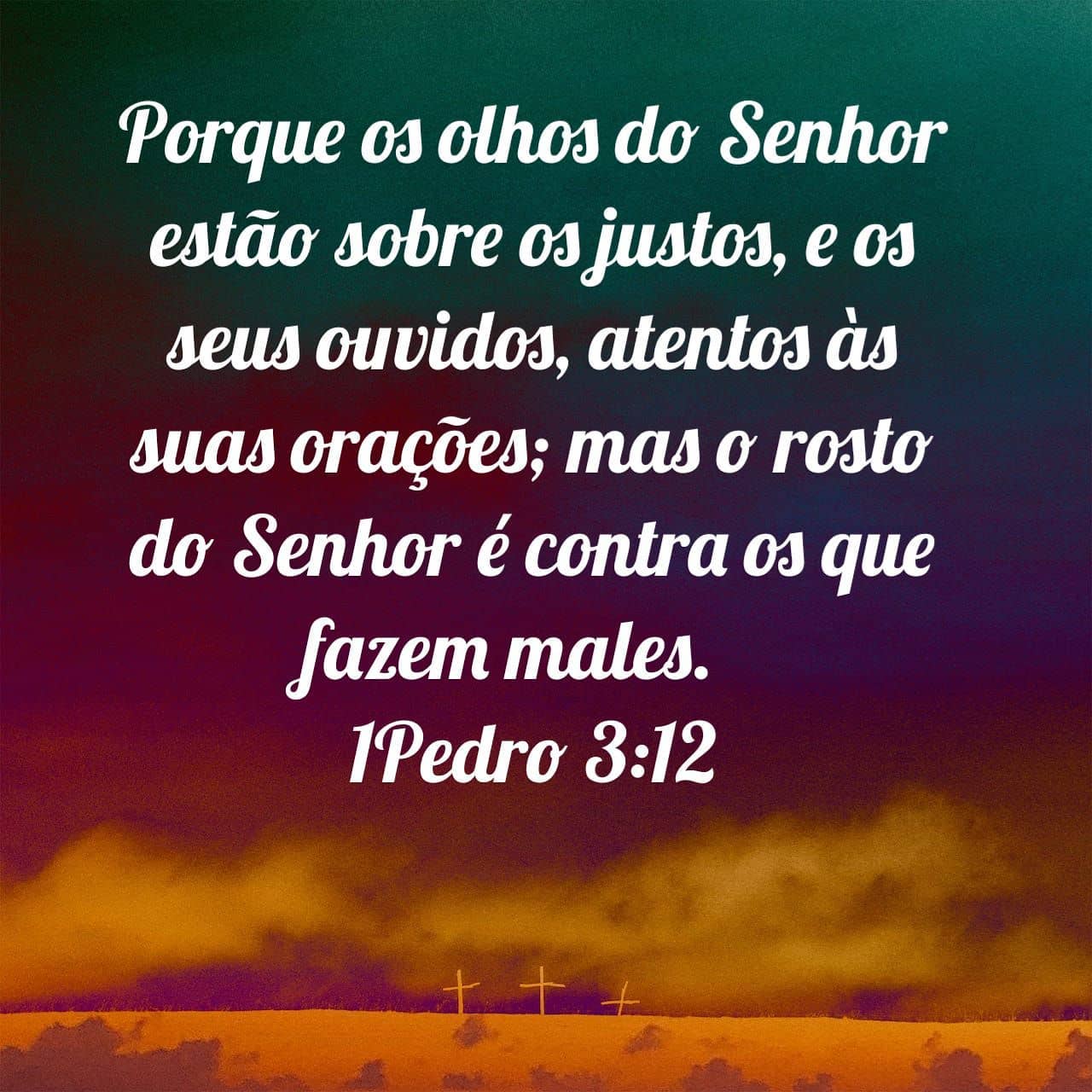Palavra para 13 de agosto de 2020