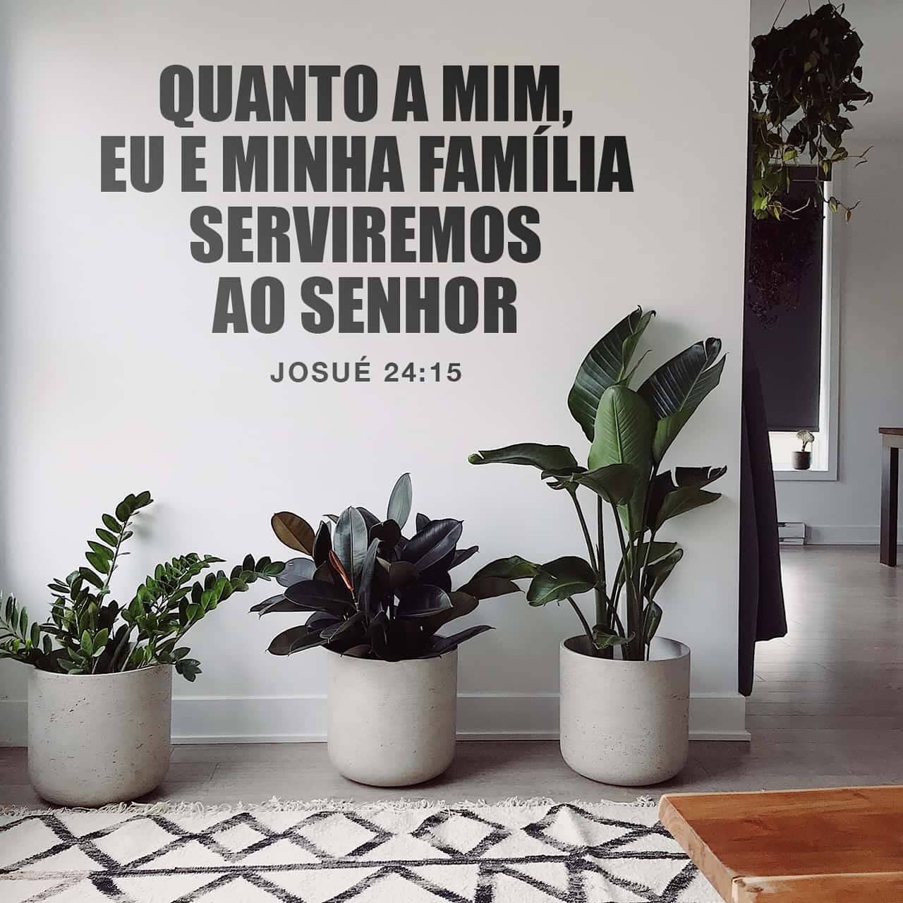 Palavra para 9 de agosto de 2020