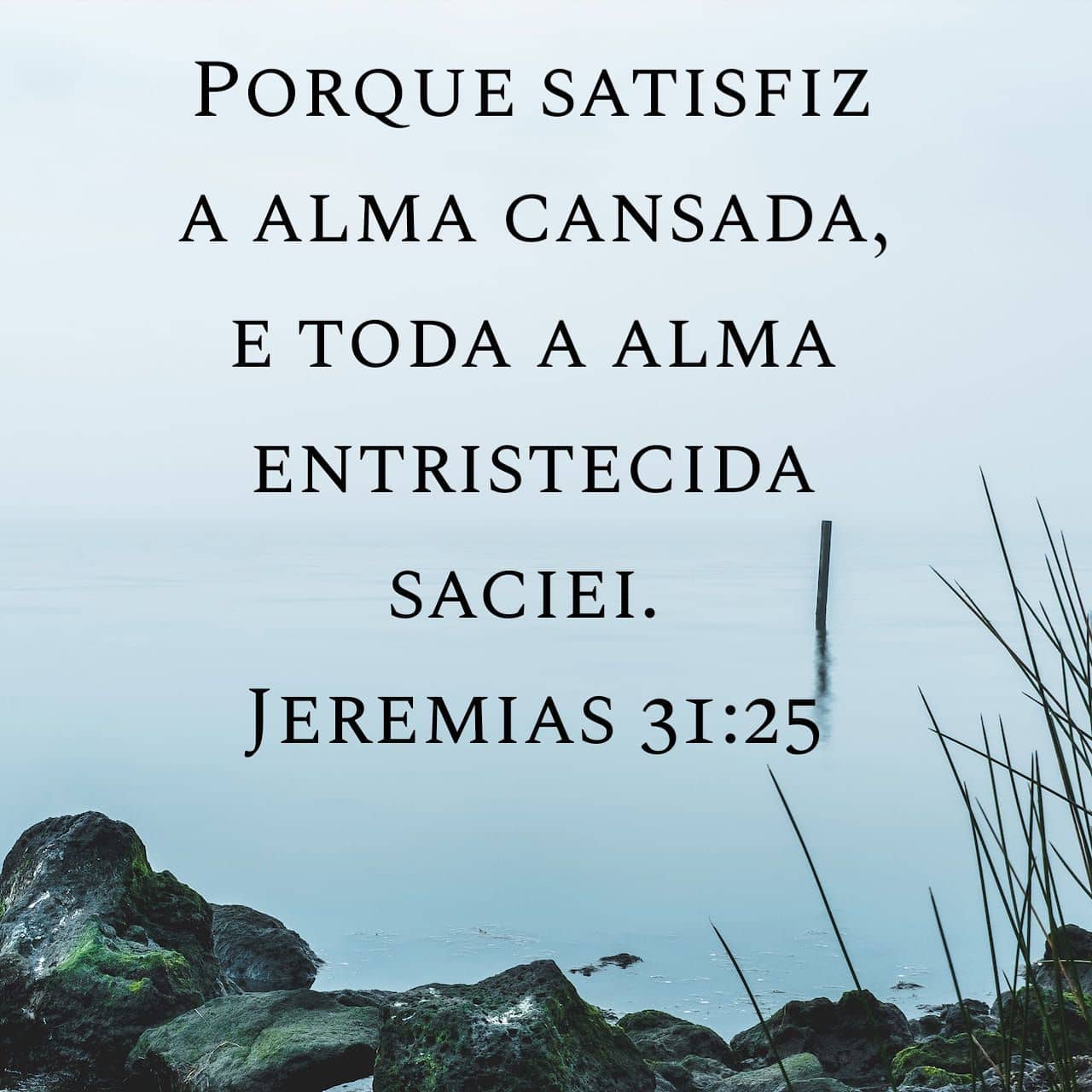 Palavra para 27 de agosto de 2020