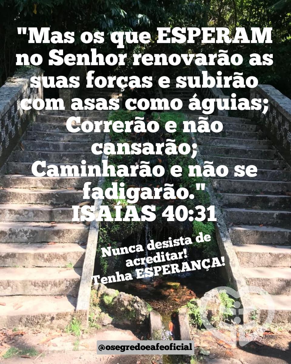 Palavra para 26 de agosto de 2020