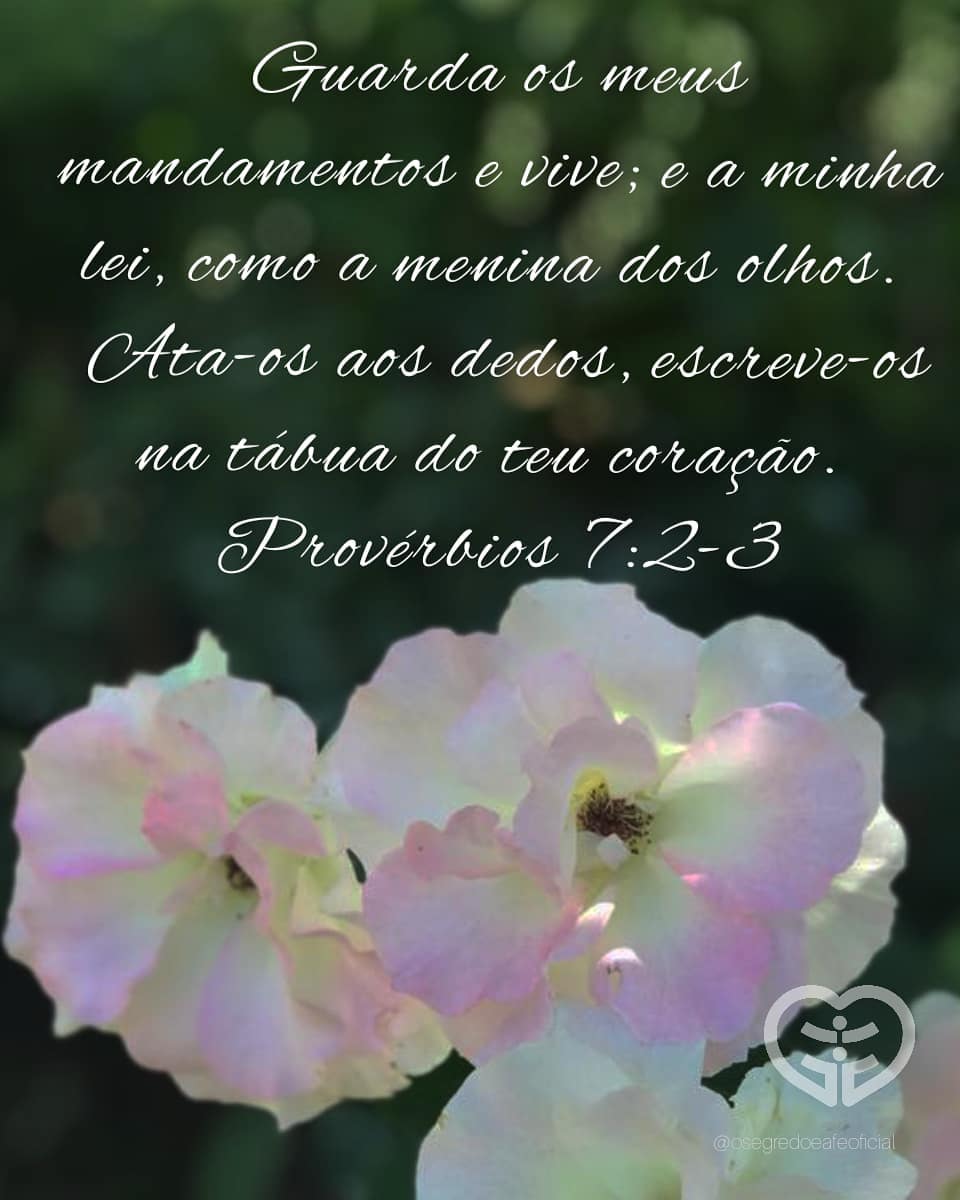 Palavra para 7 de setembro de 2020