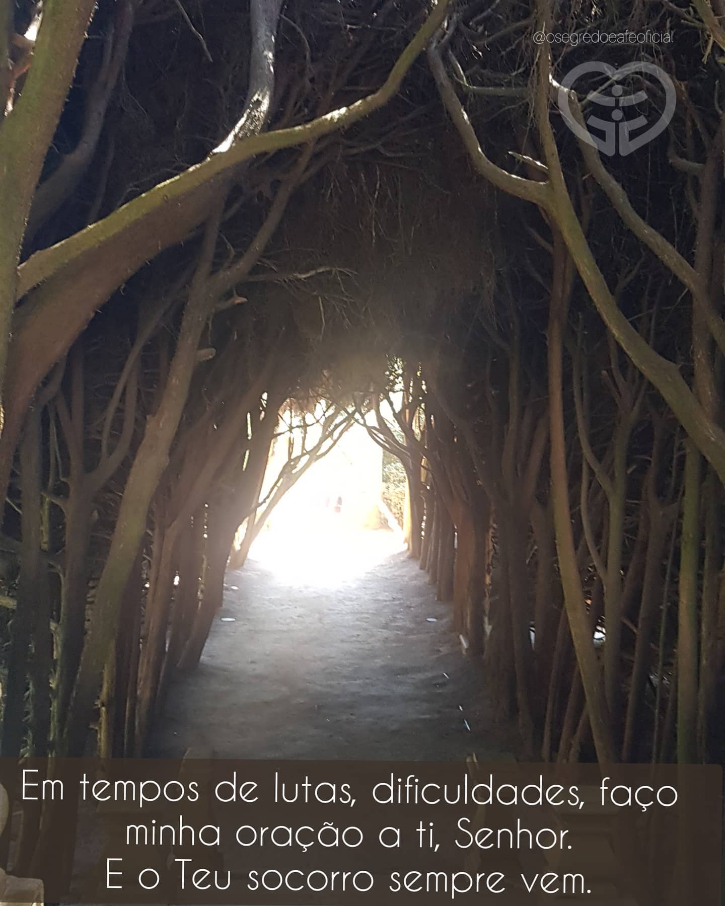 Palavra para 4 de setembro de 2020