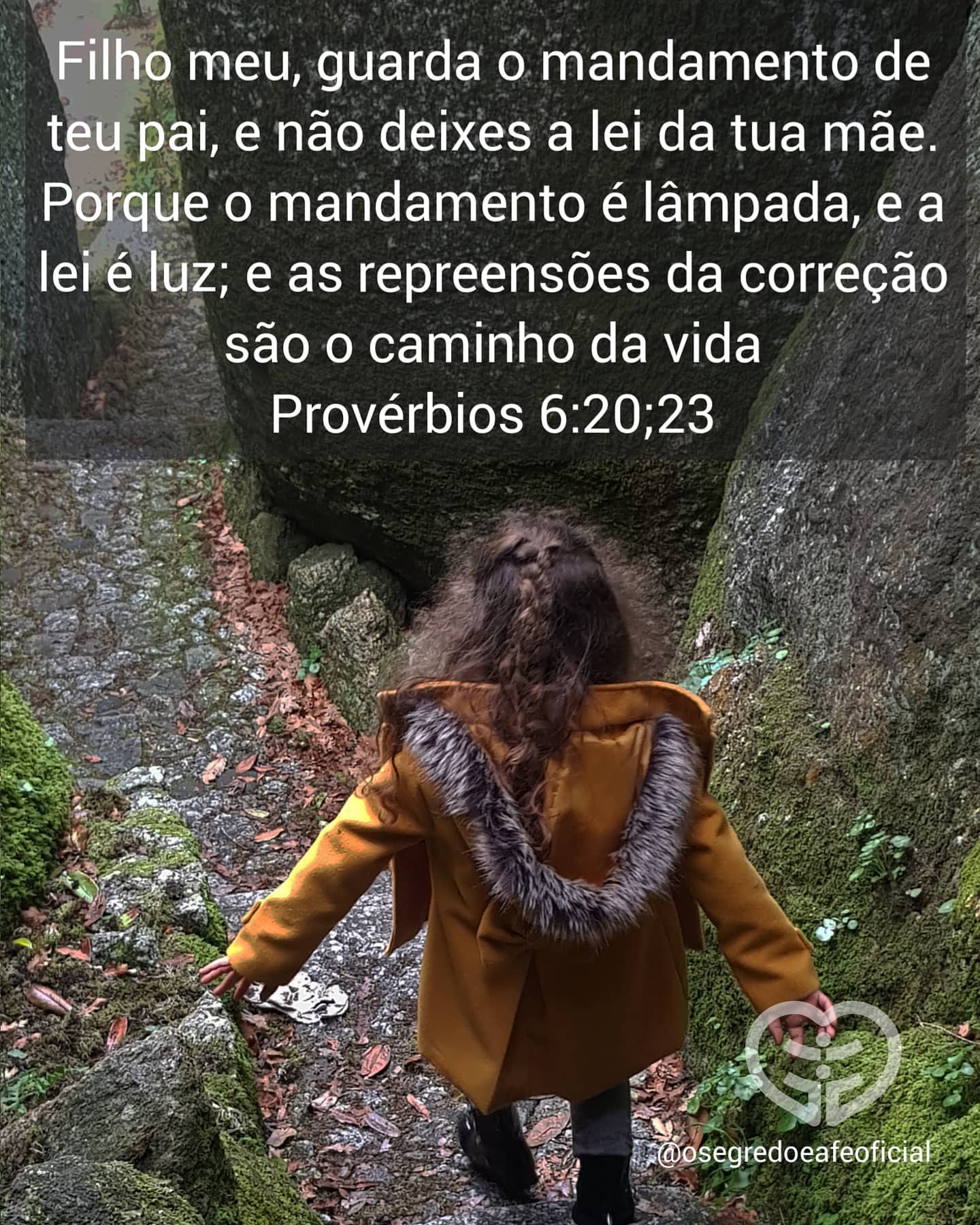 Palavra para 6 de setembro de 2020