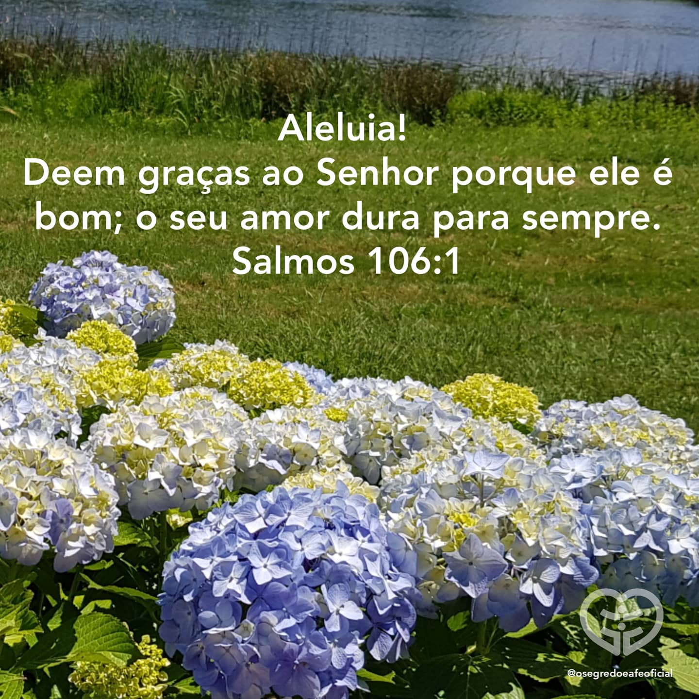 Palavra para 4 de outubro de 2020