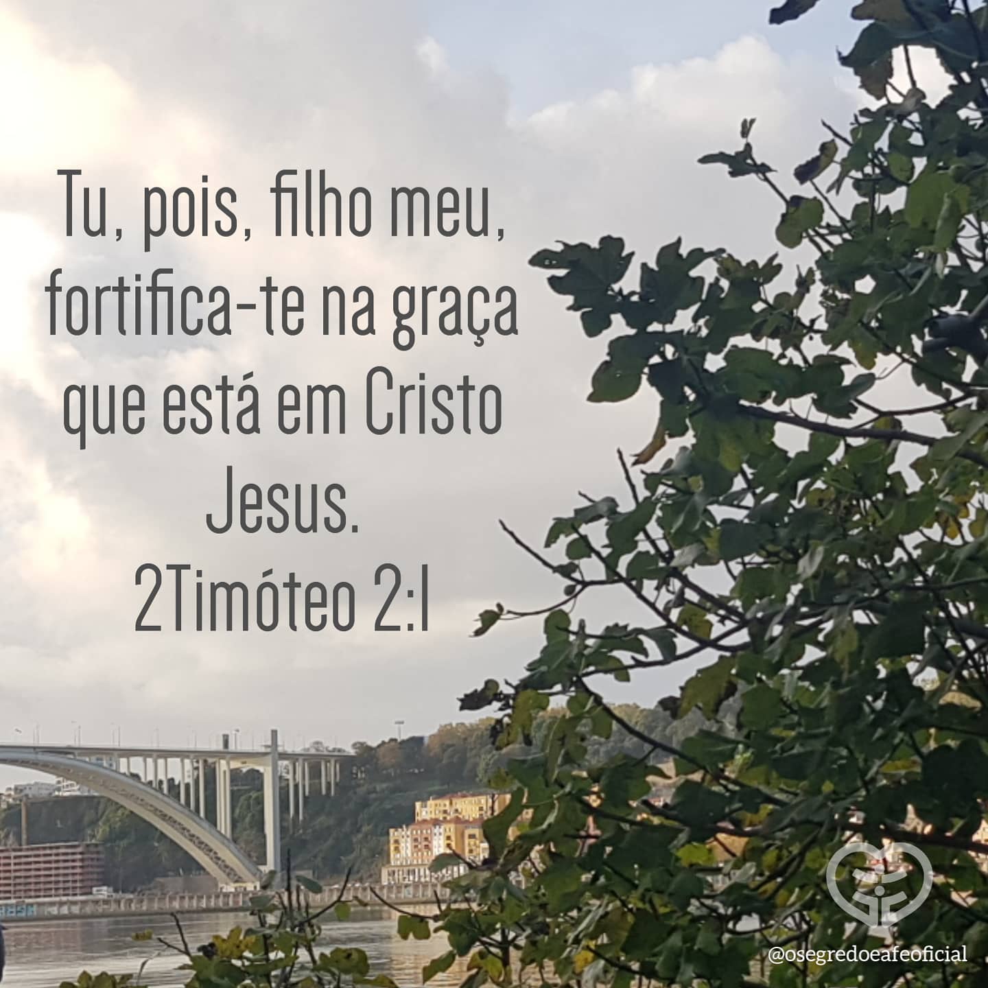 2Timóteo 2:1