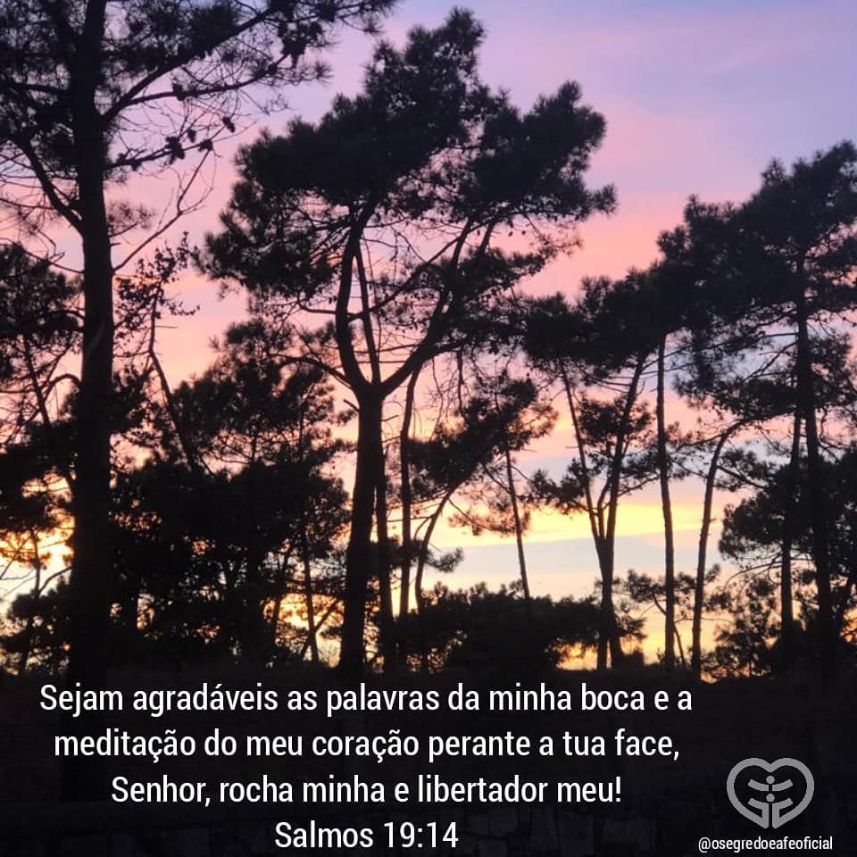 Palavra para 25 de outubro de 2020