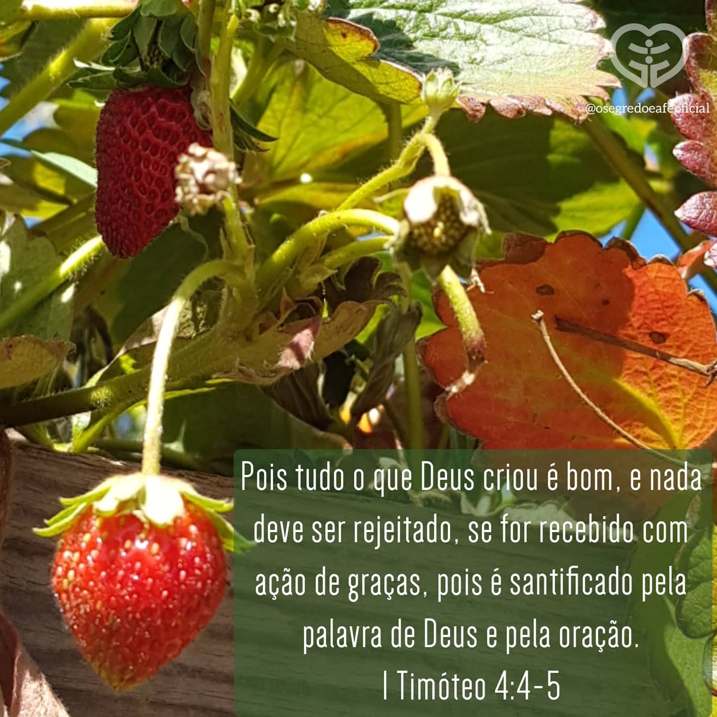 Palavra para 19 de outubro de 2020