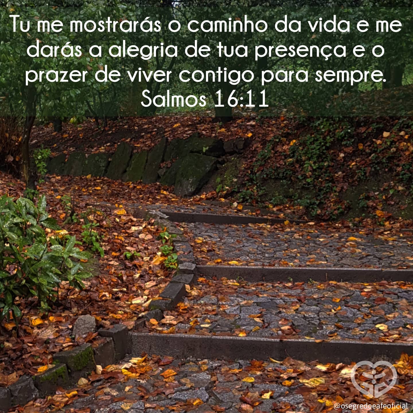 Palavra para 14 de novembro de 2020