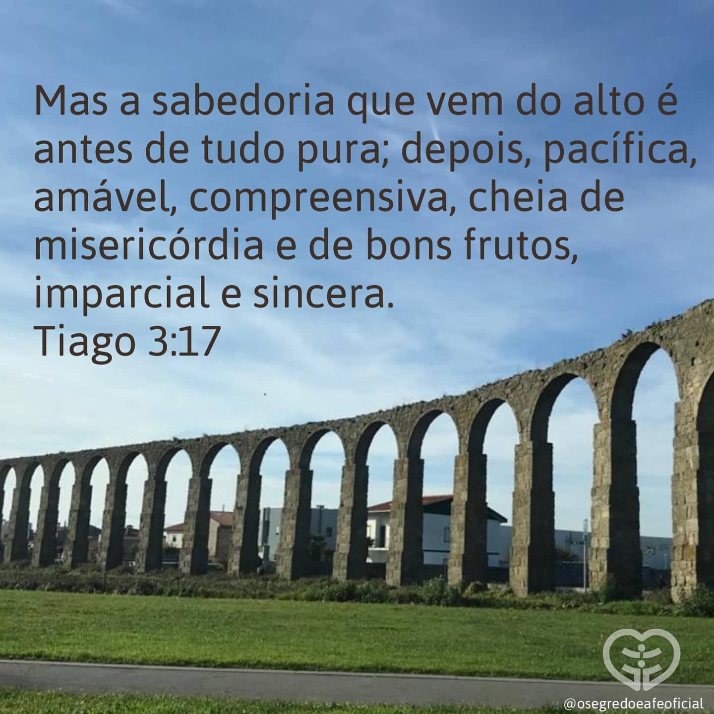 Palavra para 24 de novembro de 2020