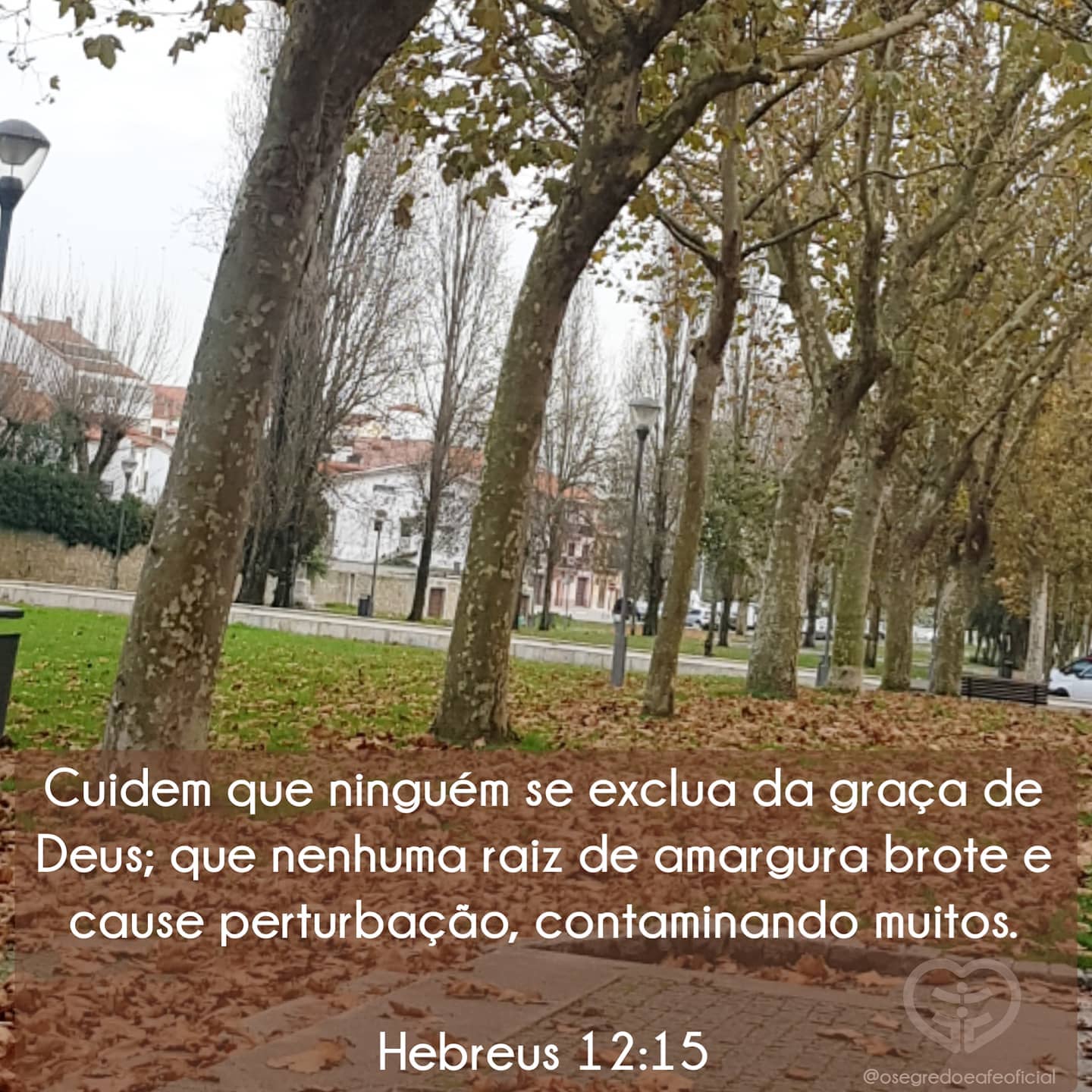Hebreus 12:15