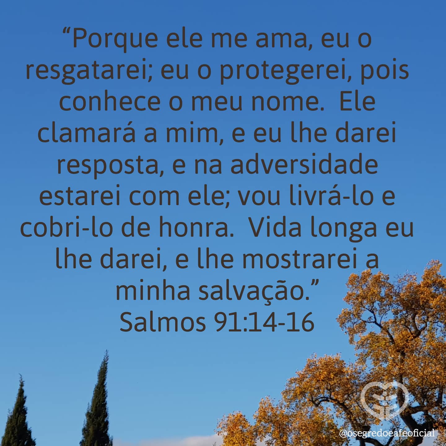 Palavra para 12 de novembro de 2020
