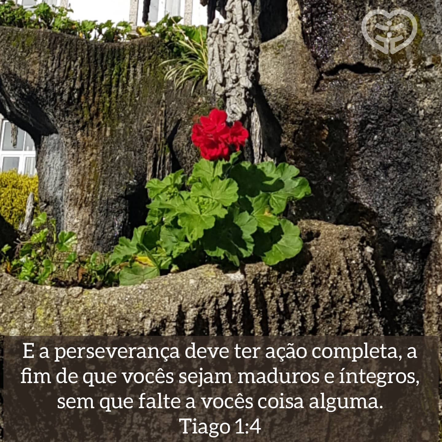 Tiago 1:4