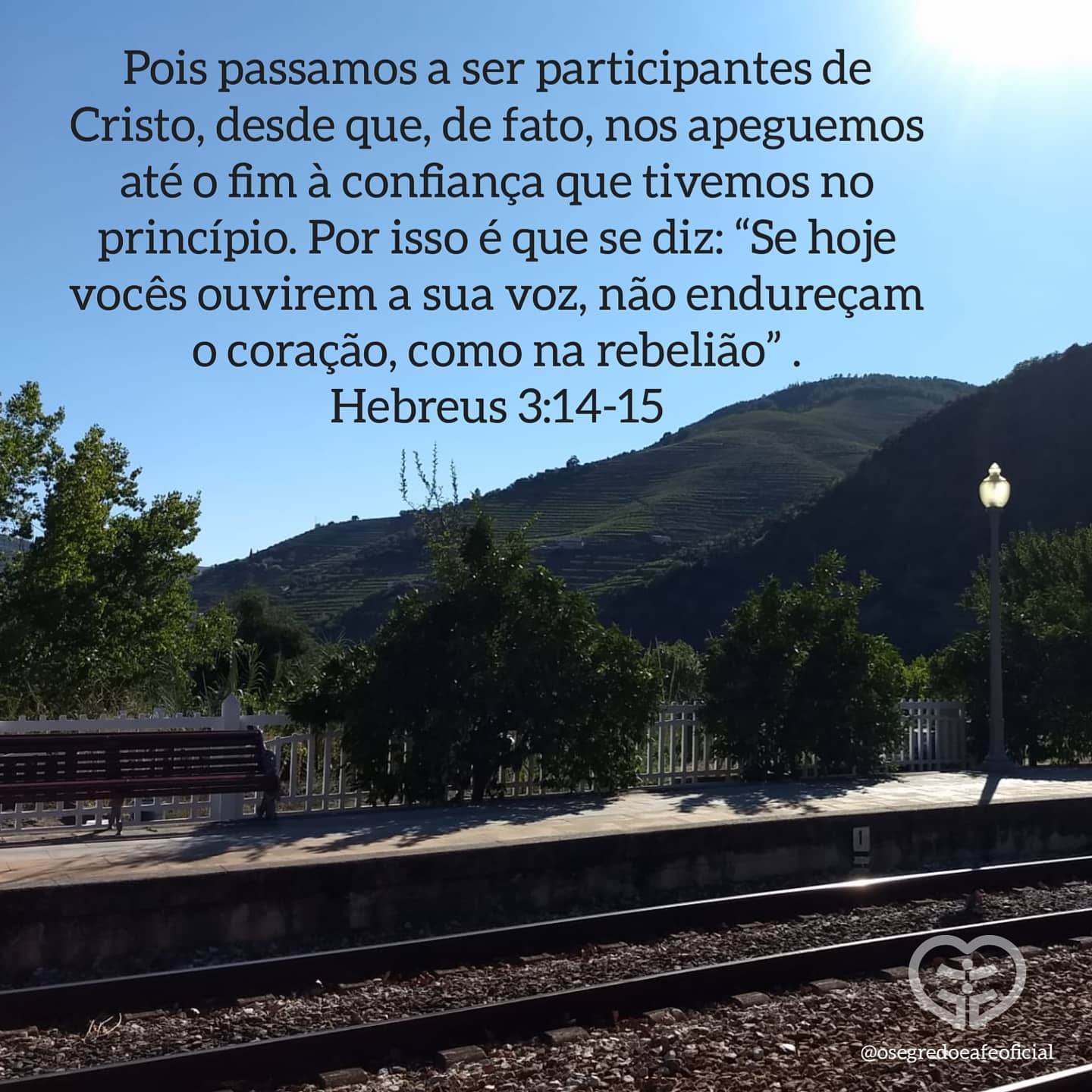 Palavra para 5 de novembro de 2020