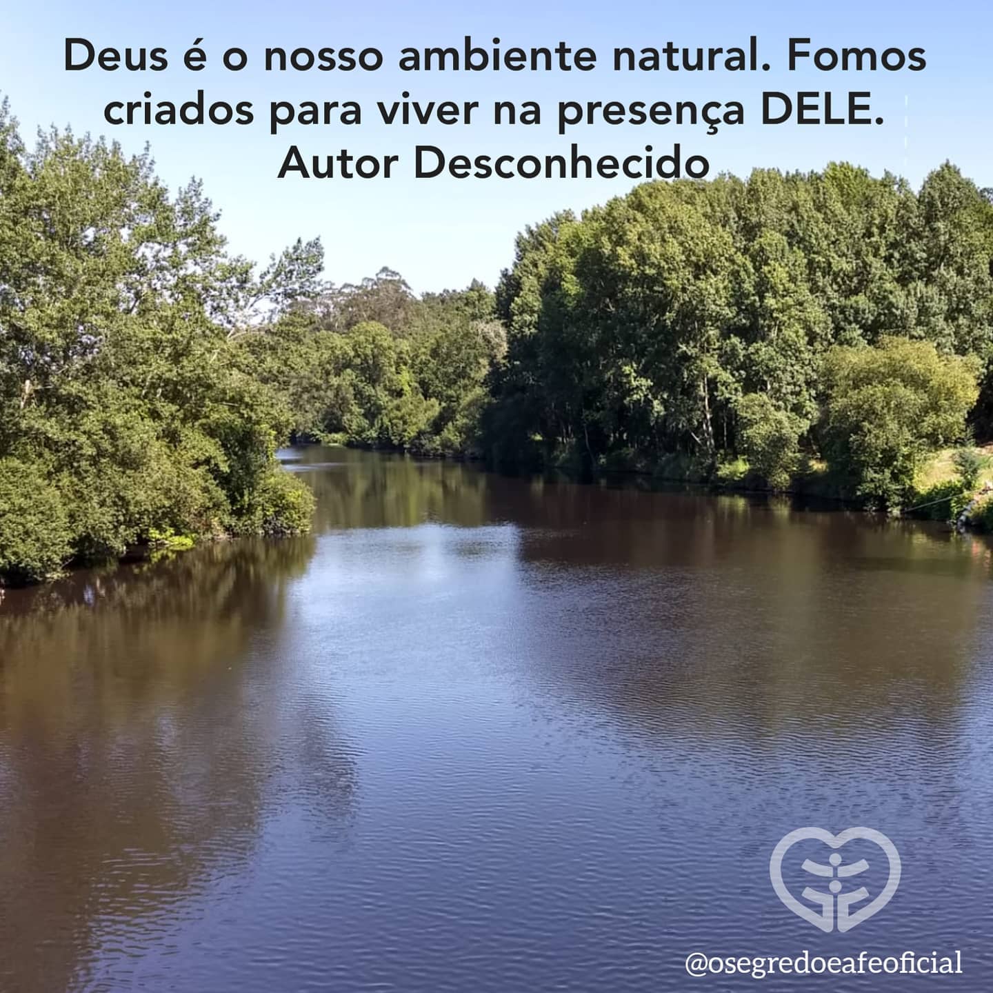 Palavra para 21 de novembro de 2020
