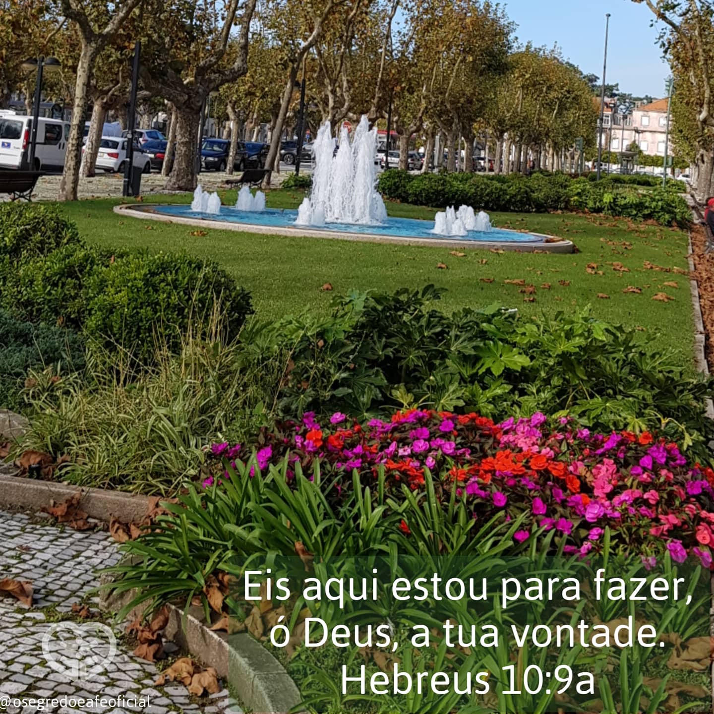 Palavra para 16 de novembro de 2020