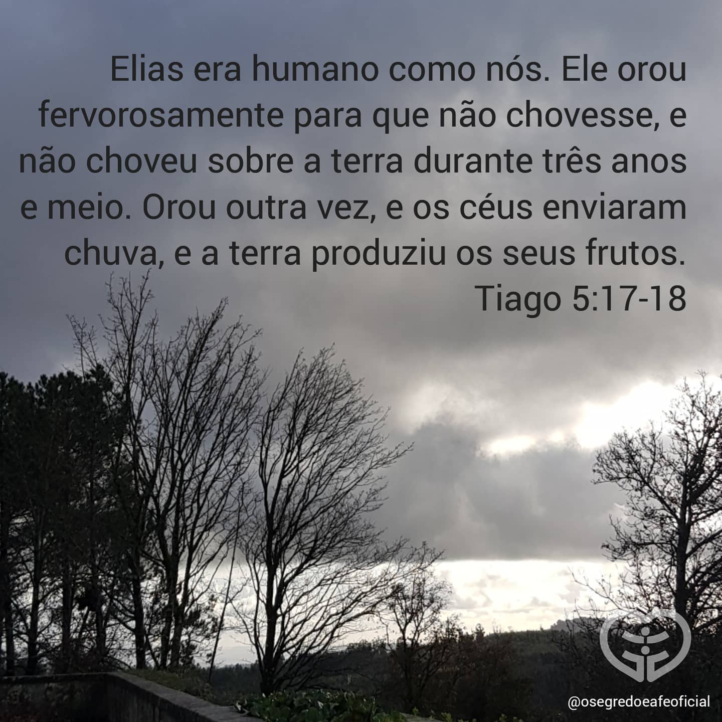 Palavra para 26 de novembro de 2020