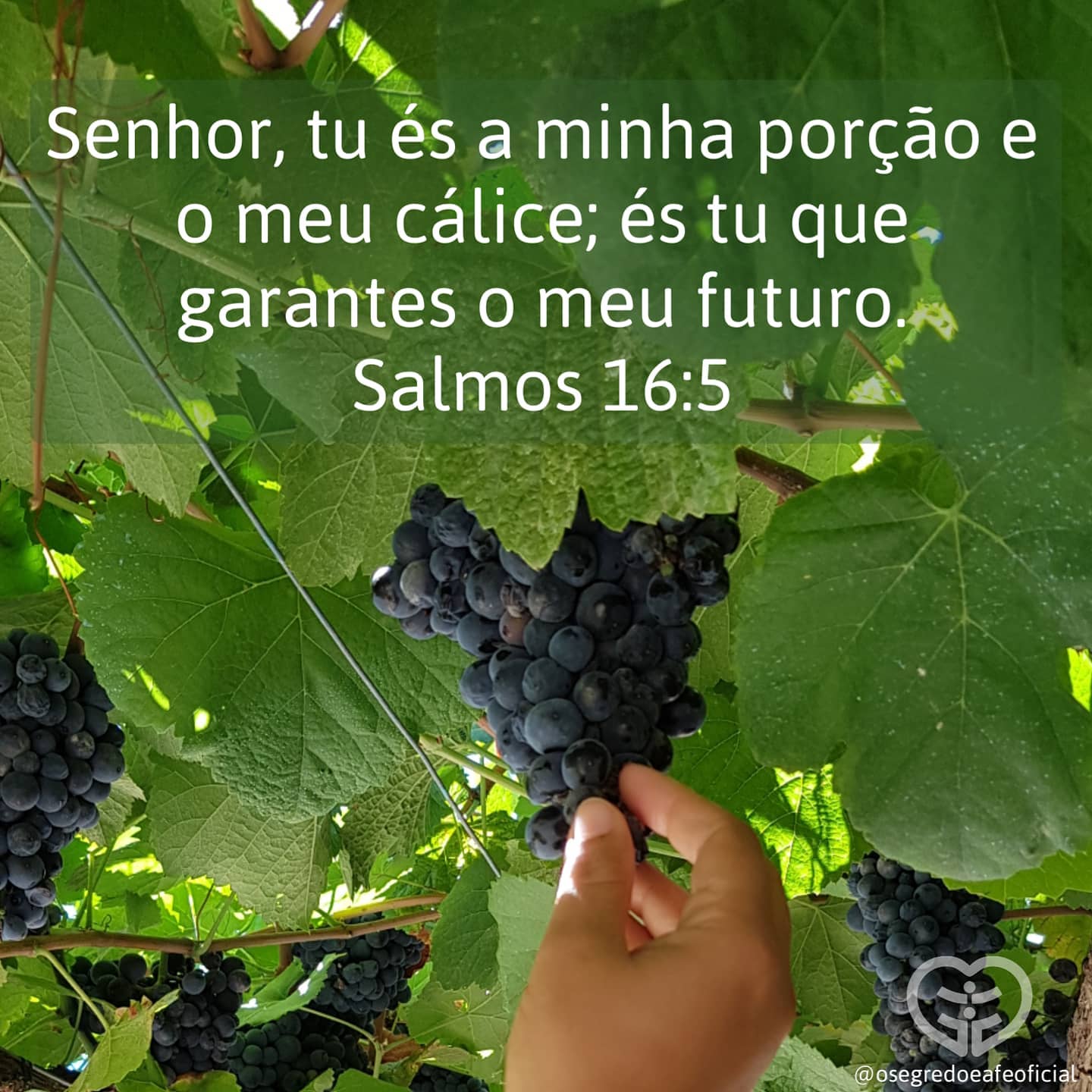 Palavra para 18 de novembro de 2020