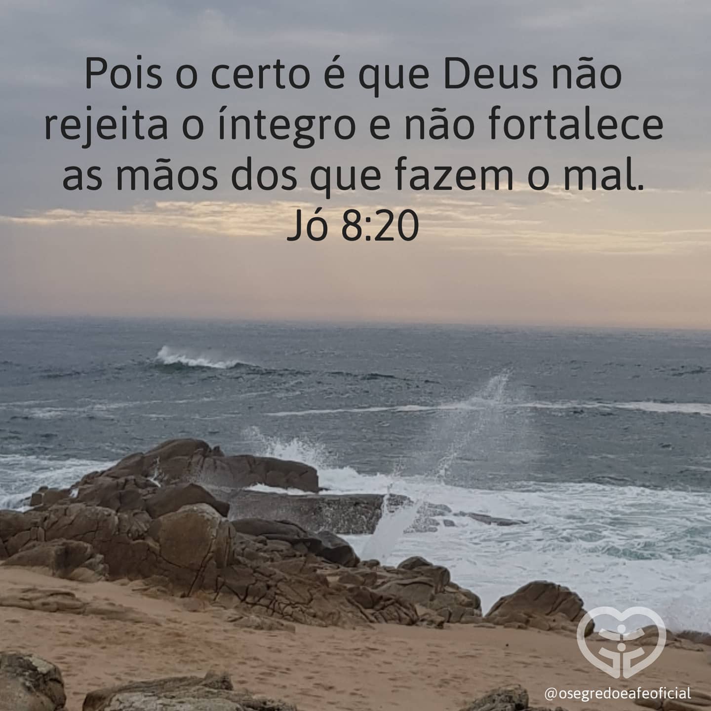 Jó 8:20