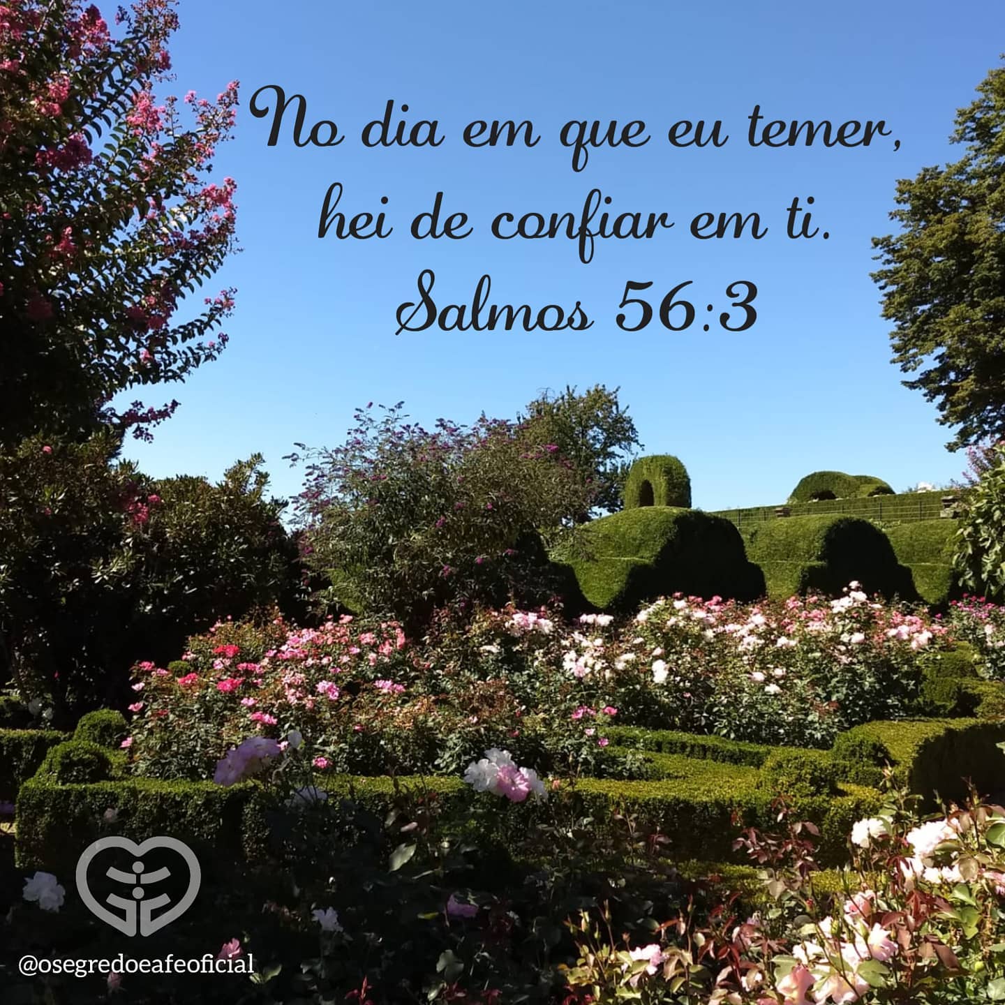 Salmos 56:3