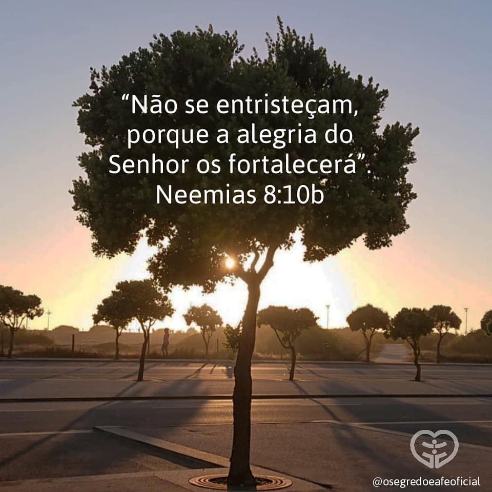 Palavra para 13 de novembro de 2020