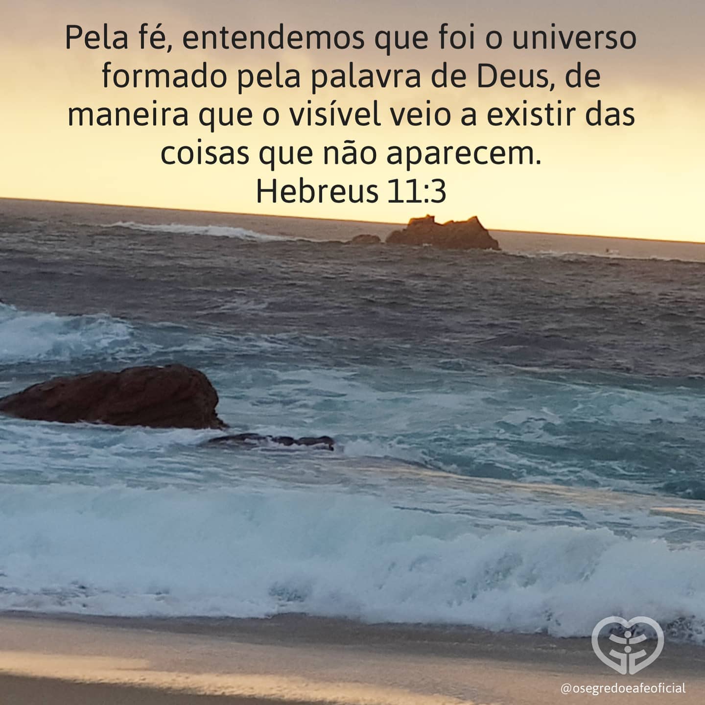 Palavra para 17 de novembro de 2020