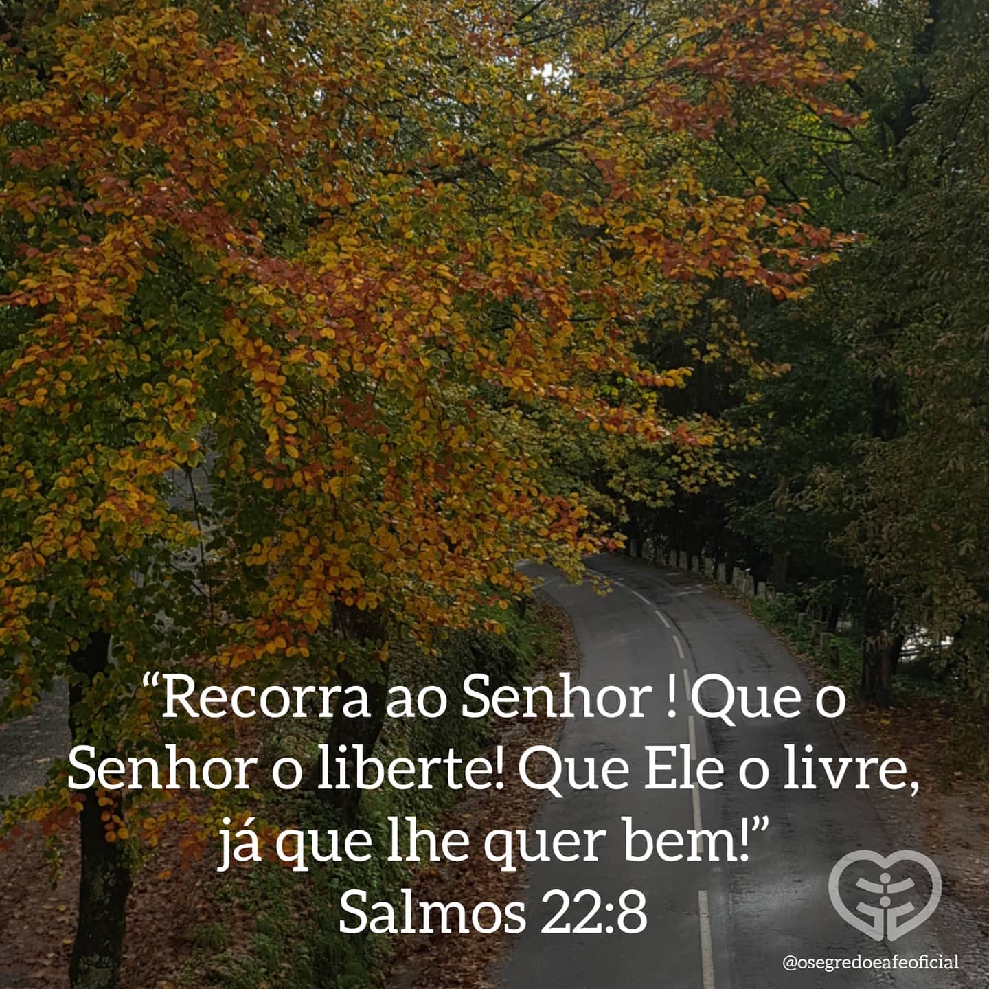 Salmos 22:8