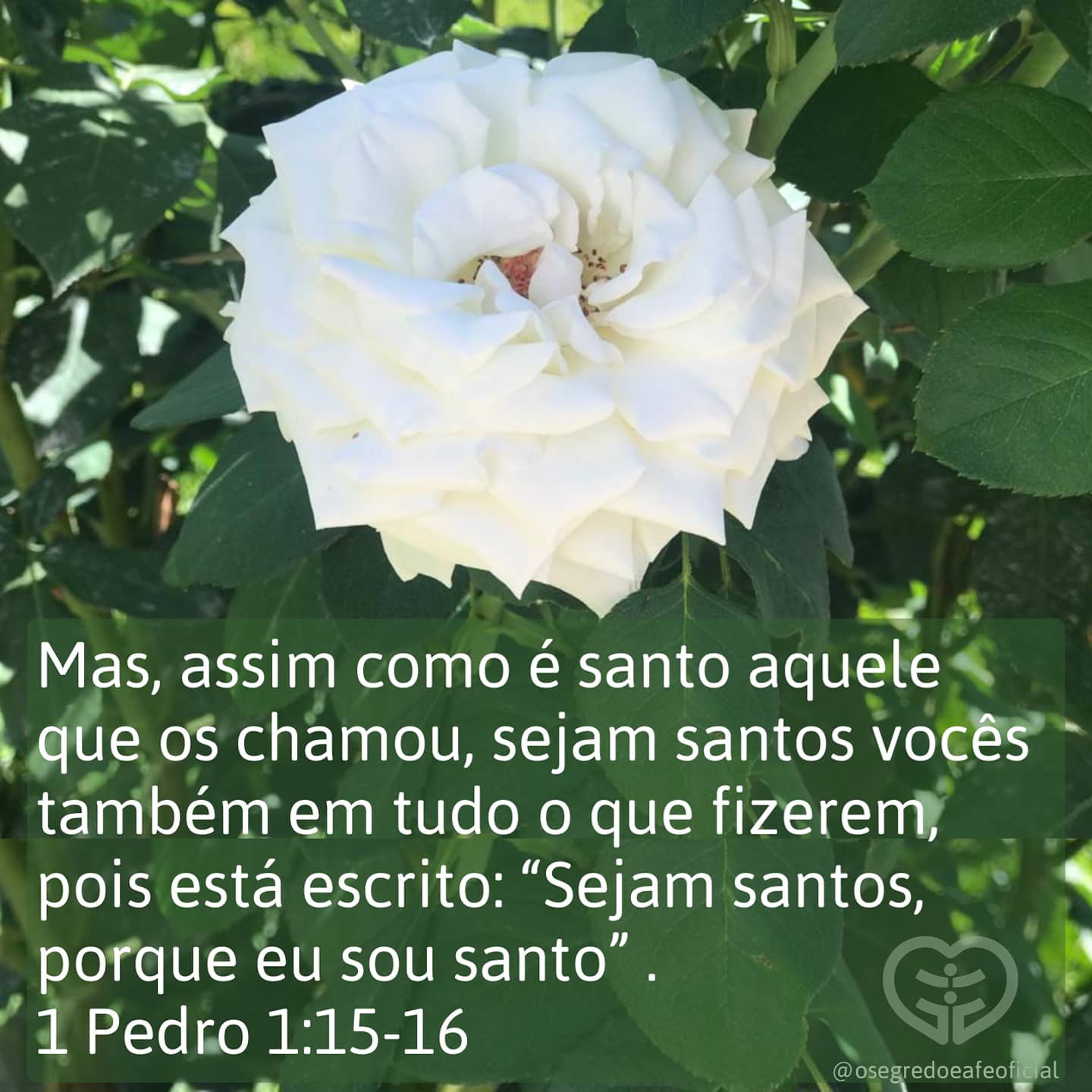 1 Pedro 1:15-16