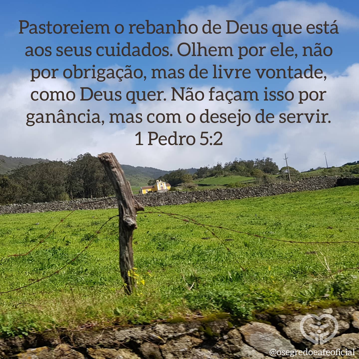 1 Pedro 5:2