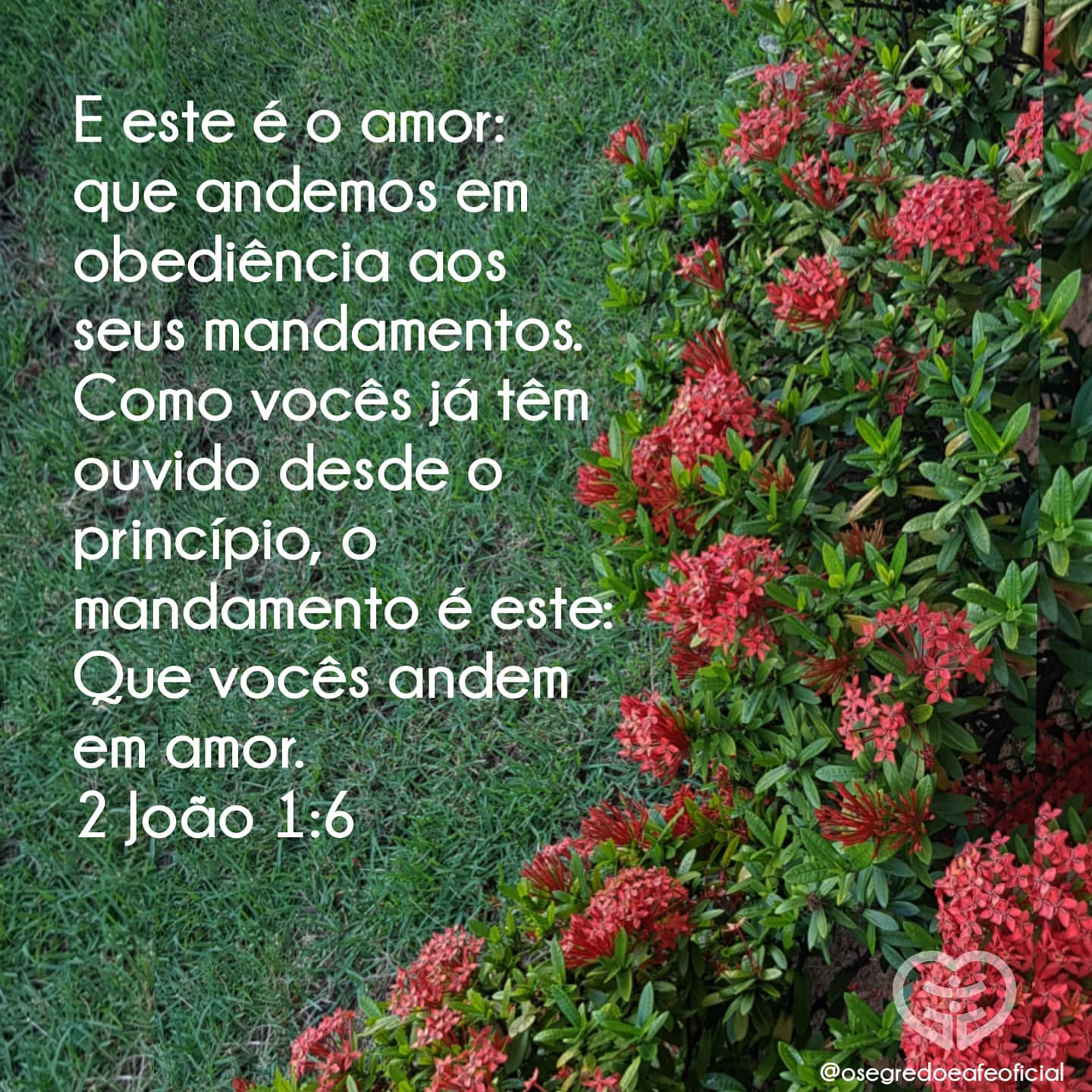 2 João 1:6