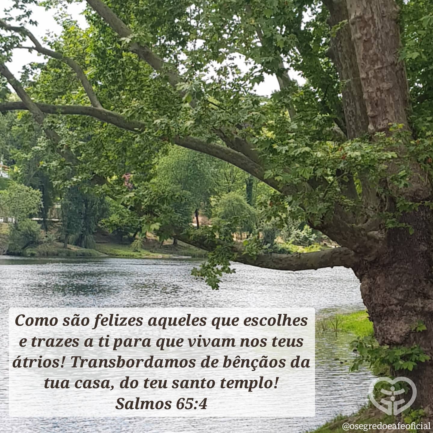 Salmos 65:4