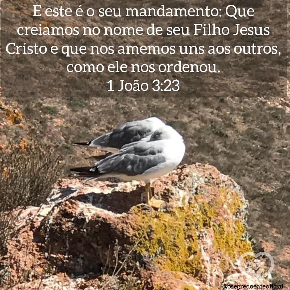 1 João 3:23