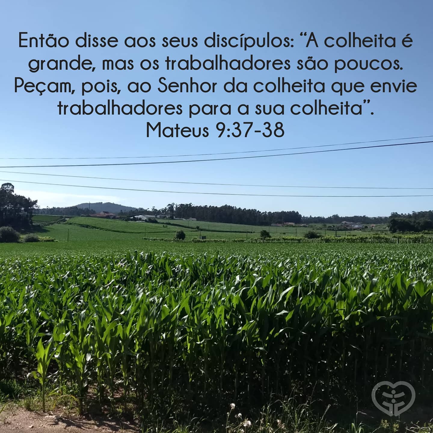 Mateus 9:37-38