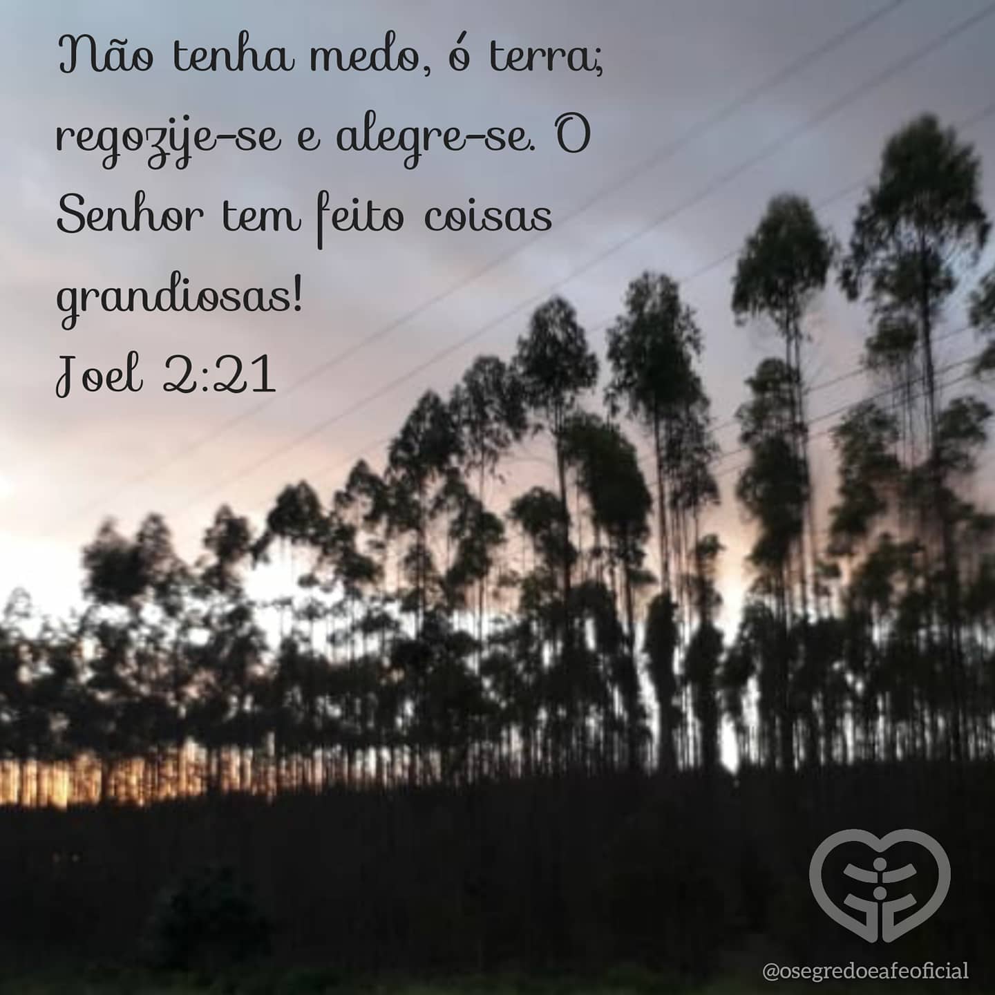Joel 2:21