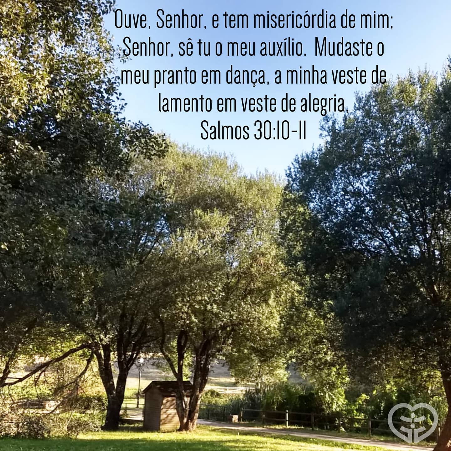Salmos 30:1-12
